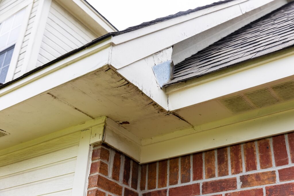 Rotten wood on Soffit and Fascia