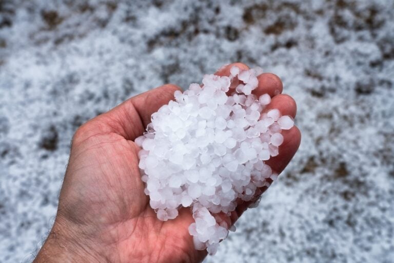 hail in person's hand