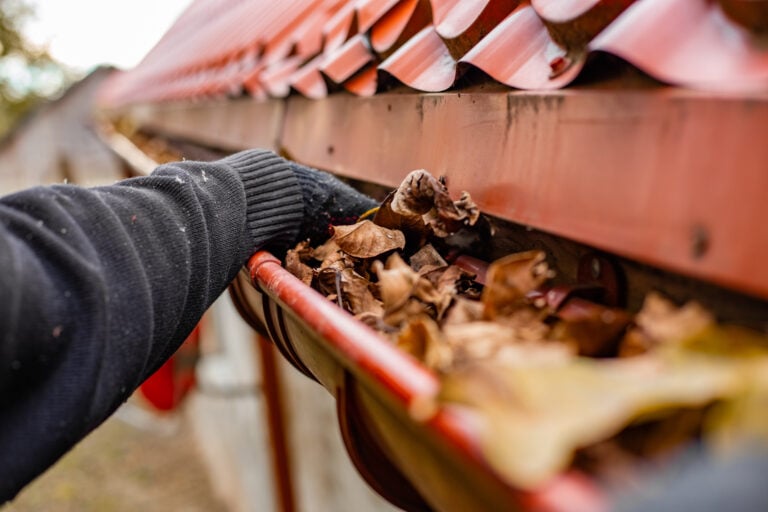 Close-up of gloved hands cleaning a gutter filled with fallen leaves