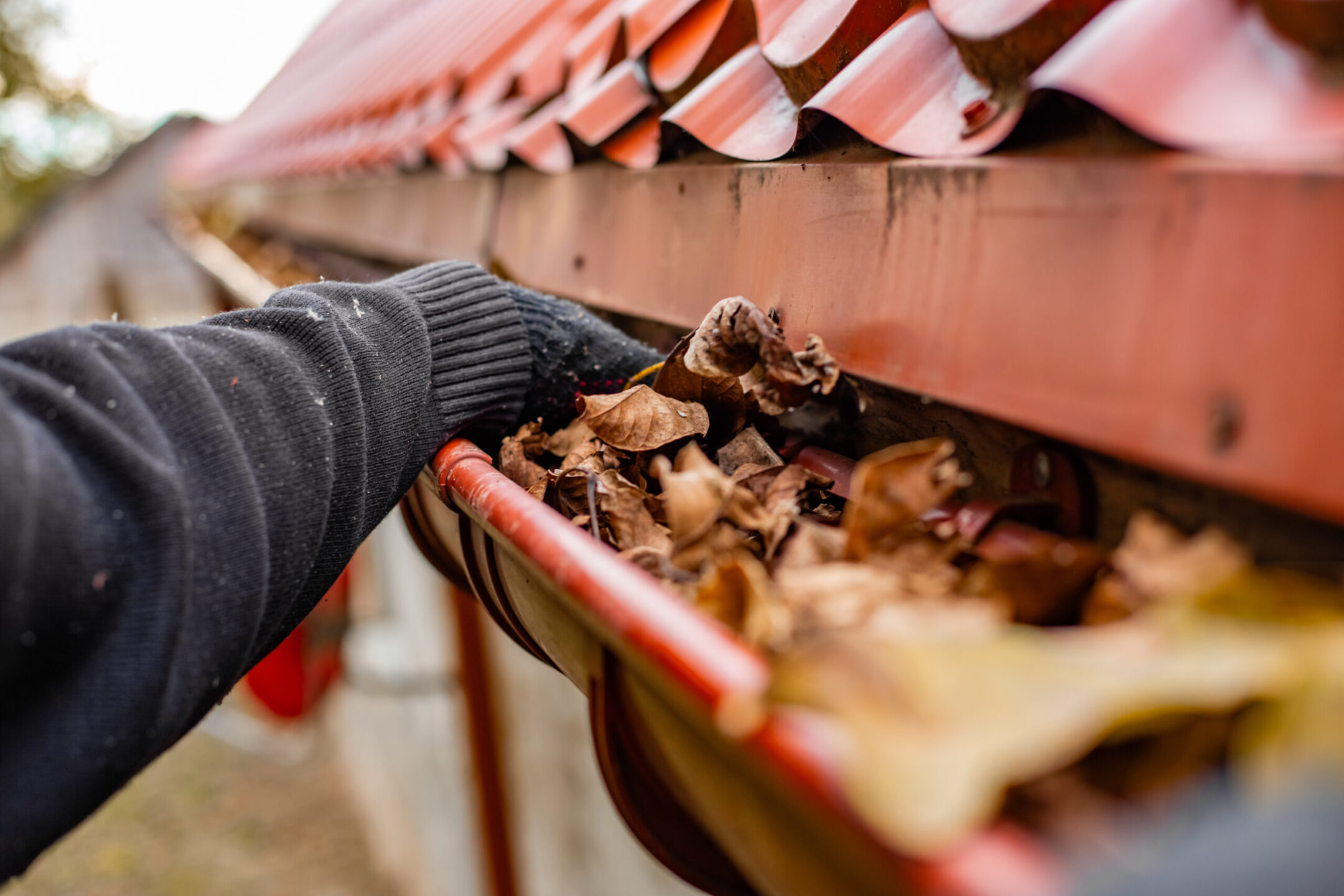 Close-up of gloved hands cleaning a gutter filled with fallen leaves