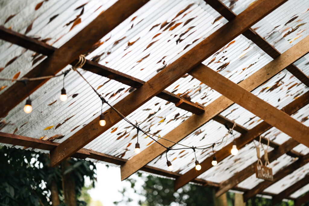 corrugated plastic roof panels String light wooden beam outdoor roof autumn leaf warm glow rustic decor garden evening festive cozy lineated barbet bird parents feed chick nest while gentle string light glow along wooden beam