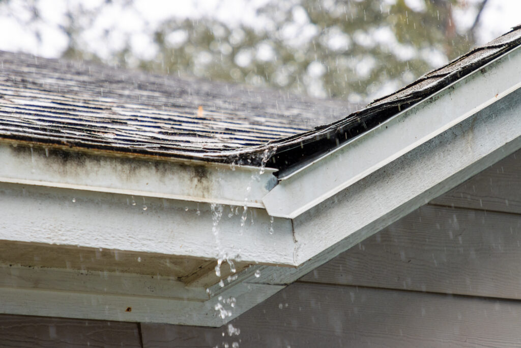 mold on roof shingles water running out of the roof
